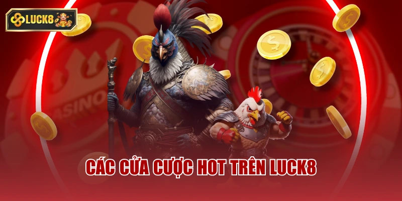 Các cửa cược hot trên luck8