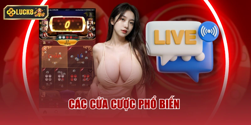 Các ưu điểm ấn tượng của sòng bạc live luck8