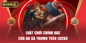 Đá Gà Thomo Là Gì